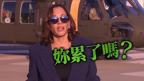 賀錦麗妳累了嗎？　竟口誤稱肯定美國與「北韓」重要同盟關係