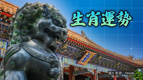 12生肖本周運勢　虎事業桃花雙運爆棚　猴雞貴人到蛇小心三高