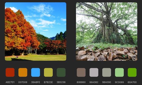 國慶3天連假 林務局祭森林遊樂區半票優惠入園