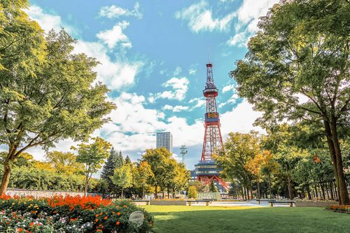 迎解封!星宇航空10/28將開航日本沖繩、札幌 即起開放訂票