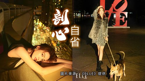 陳庭妮登封向自己道歉　套MK豹紋洋裝當華麗遛狗衫