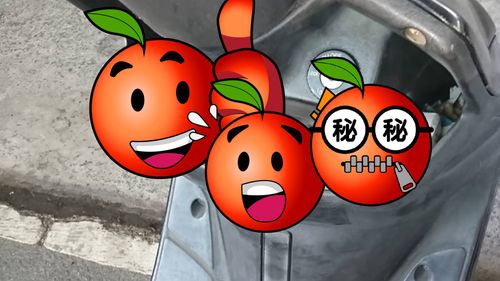 這台機車置物籃「都是垃圾」! 網卻一面倒狂讚:有品的人