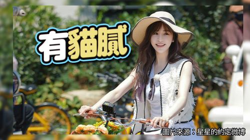 王心凌陸綜剛首播突因「硬碟損壞」喊停 網疑內情不單純:「他」被打碼