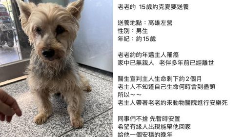 癌末主人壽命剩2月 帶約克夏赴醫安樂死!網噴淚「幫幫牠」