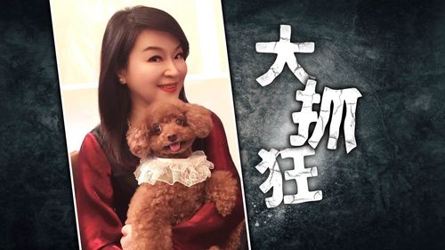 周玉蔻殺紅眼!罵黃國昌「騙女學生上床」、再轟禿頭男「召妓」  網友:支持兩男提告