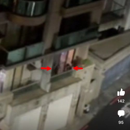 陽台摔狗全都錄!飼主辯稱「在玩」未被罰 高雄動保處引眾怒