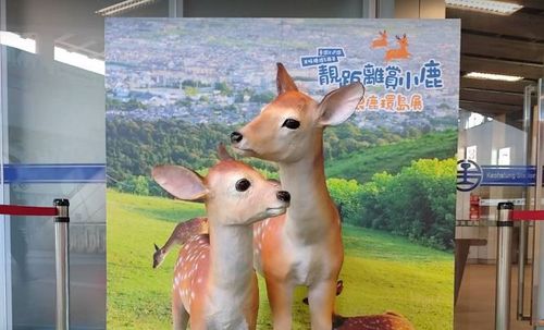 跟著超Q奈良鹿搭火車環島！　台鐵推「這6站」打卡集章換好禮