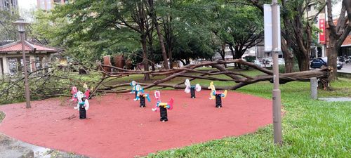 新竹陣風比尼莎颱風可怕　3樓高榕樹遭「腰斬」吹倒！市府曝這原因