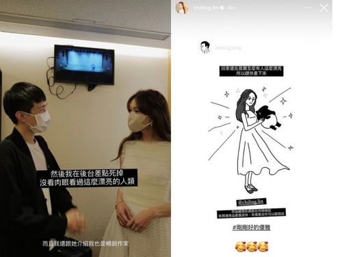 马来貘画Q版林志玲爽被本人转发 碰面惊艳到差点死掉