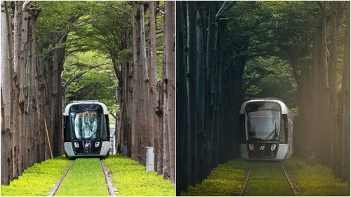 高雄輕軌龍貓隧道通車7天出狀況 停駛2個半小時!出動接駁車載客
