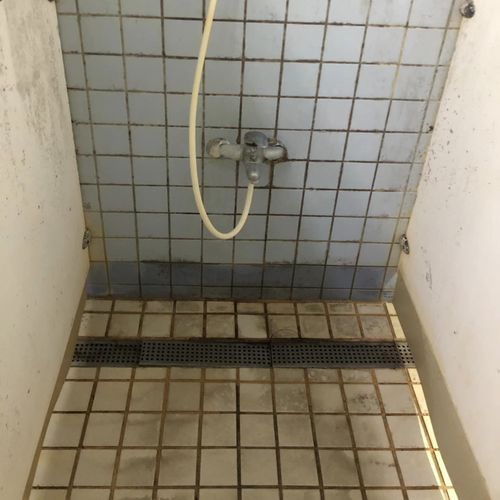 網PO高科大「黴菌培養淋浴間」討拍失敗 遭酸:沒帶媽一起來陪住