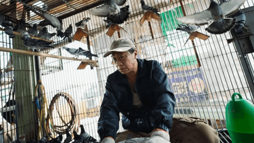 黃秋生入圍金馬影帝自謙「很難勝出」　對手游安順首上榜心情悸動「無法形容」