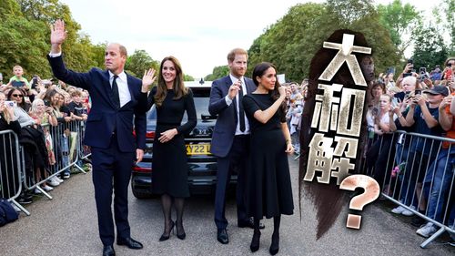 英國王室F4同框秘辛!威廉哈利是大和解還是暫時停火 引熱議