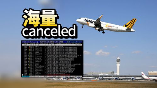 虎航爆大量取消飛日航班 PTT刷整排哀傷:認賠改買長榮