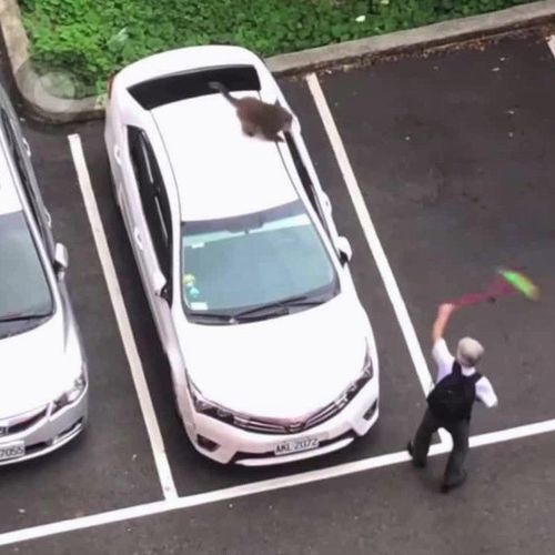 白髮教授大戰潑猴 「無雙的呂布魂」掃把旋風完勝