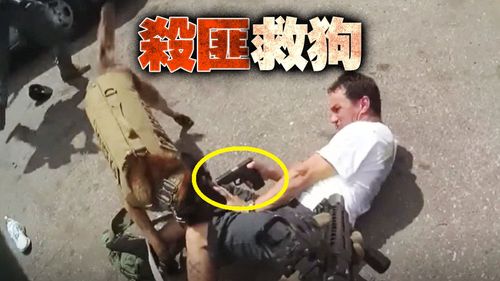 慎入影片!美警救援英勇警犬 當場格殺歹徒
