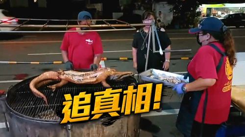 壹蘋查真相|中秋烤巨鱷有來頭!國內僅2戶合法養殖 吃全鱷代價3萬