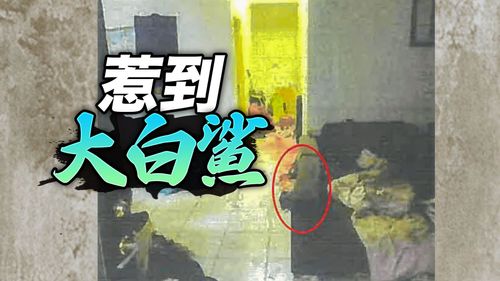 飢渴男求愛死黨前妻「X到你此生無憾」　結果悲劇了！她撂一票人亂棍打死他