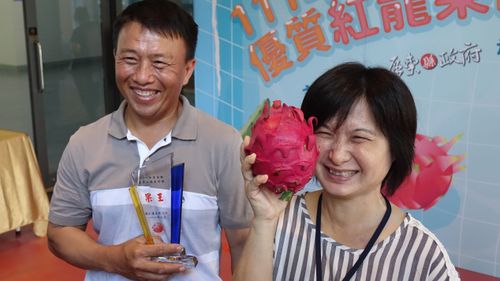 用手機種的紅龍果!與臉大1公斤重 屏縣果王出爐