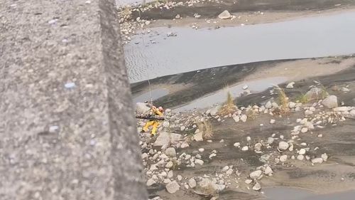 屏東男墜落高屏大橋　幸運獲救！意識清楚狂喊胸痛