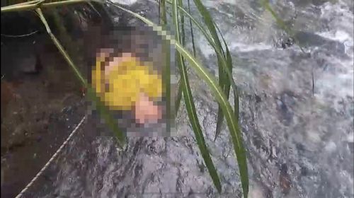 八通關古道男山友墜崖 搜救人員深谷尋獲遺體及腦漿