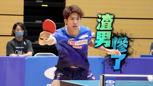世界冠軍已婚偷吃女球迷　日本桌球「新一哥」道歉了