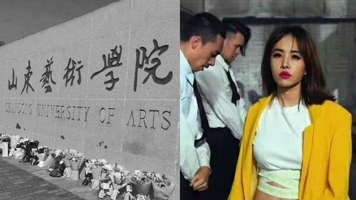 19歲「陸版玫瑰少年」輕生 網友擴散蔡依林金曲求真相