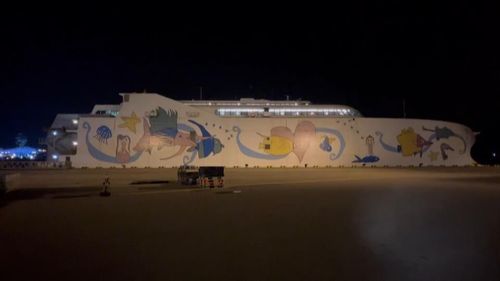 麗娜輪夜航申請未通過　逾300旅客遭請下船滯留澎湖一夜