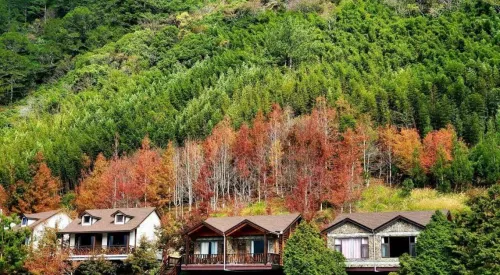 泡湯按摩買一送一、上山賞楓1元瘋搶!旅遊電商開賣國旅秋冬行程