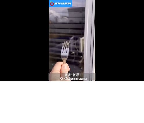 叉子往窗戶叉究然陷下去 這究竟是什麼妖術?