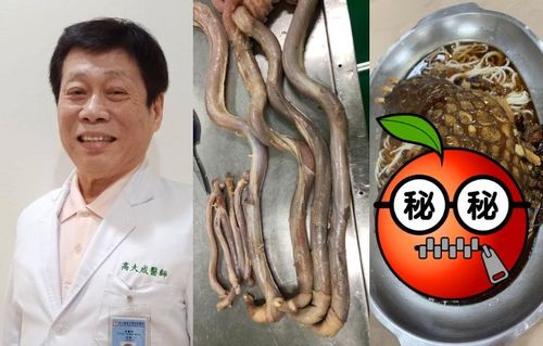 法醫高大成吃「牛鞭、鱷魚掌」　驚悚餐點曝光！網看呆：解剖課