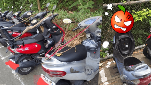 柴山機車版「我愛一條柴」　一張照引爆留言！高雄人秒回這兩字