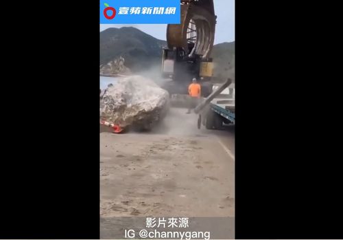  大石頭沒吊好往海邊滾　嚇到寄居蟹真的很無辜