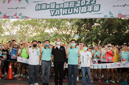 與林佳龍合體競選看板 怪了!參選人竟不是民進黨籍