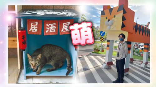 獨家|社區是他的畫布!從插畫家到「貓咪里長」滿滿愛