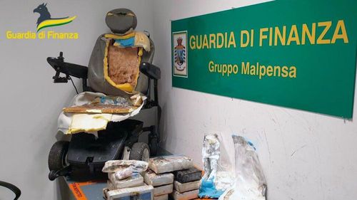 機場輪椅旅客瞬間起身行走 締造「神蹟」的是一隻狗