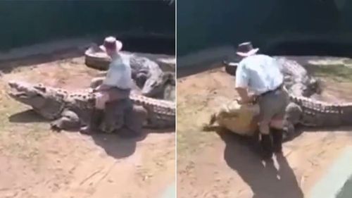 「這隻鱷魚我能騎」 馴獸師風光10秒馬上被咬