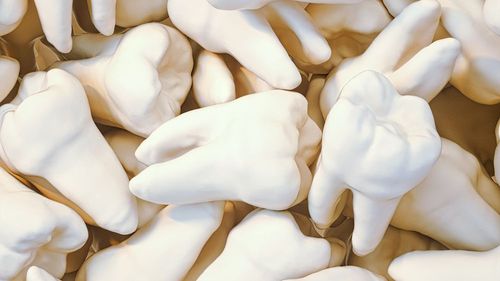 被牙醫拔掉的牙齒去哪了 未必垃圾桶!診所院長揭露還能這麼用