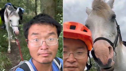 從西班牙騎馬赴中國「虐待動物」　32歲男萬里長征在荷蘭被狂檢舉