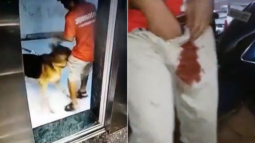 影片|一出电梯「被狗咬下体」 蛋蛋的哀伤!外送员血染短裤痛到哭