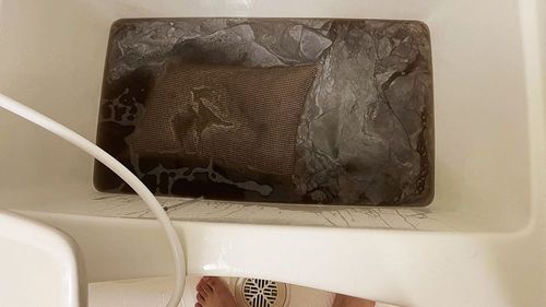 枕頭1年就洗「畫面噁爆所有人」 浴缸水全黑!自己都怕:要買新的了