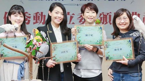 聲援高虹安!鳥類救援協會嗆爆綠側翼沒知識 「有點良心就不會這樣攻擊」