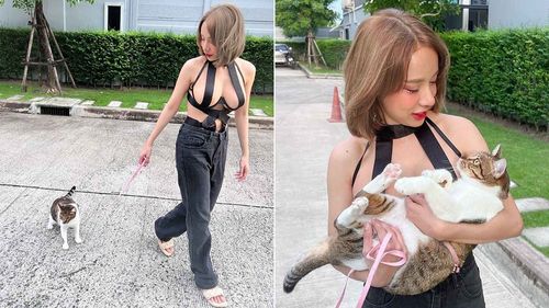 豪乳妹社區遛貓穿這樣　網友衝動「我想搬家了」