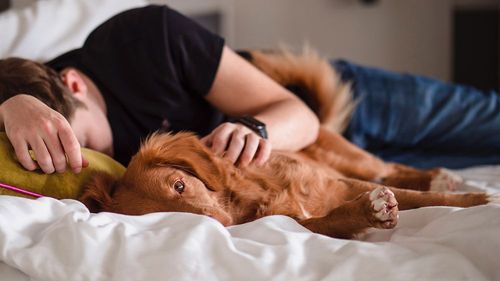 13歲少年拒絕做家事 繼母超狠!處罰他「人獸交」跟狗嘿咻