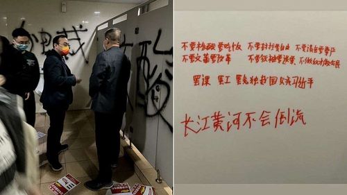 中國再爆「罷免獨裁國賊習近平」抗議標語 四通橋效應擴效!傳單喊話:護國爭普選
